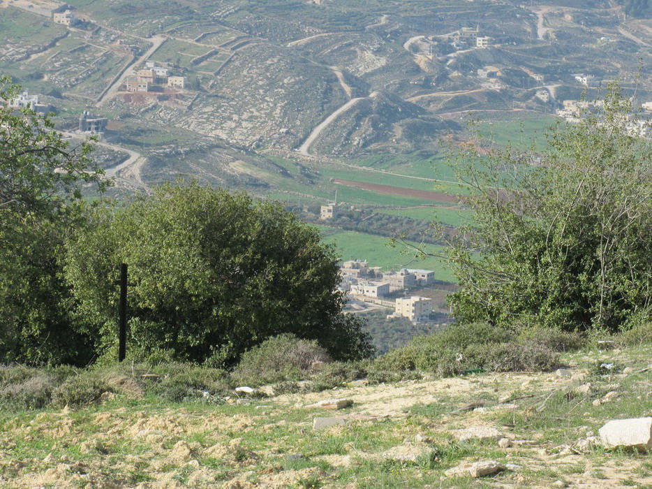 201132141.jpg