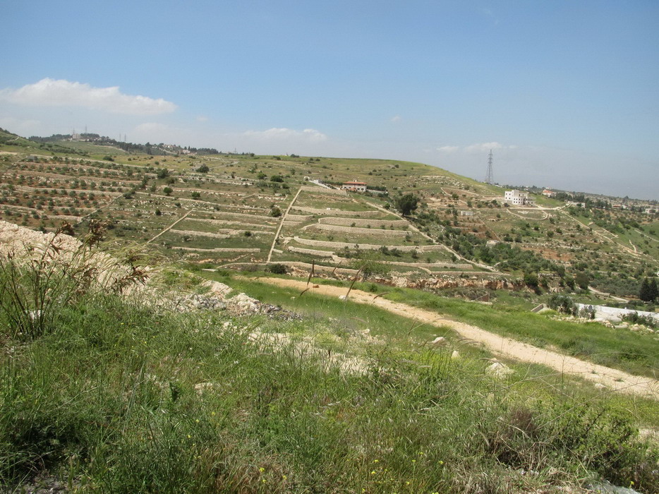 201156031.jpg