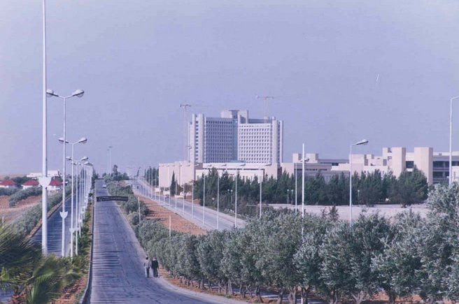 310547.jpg